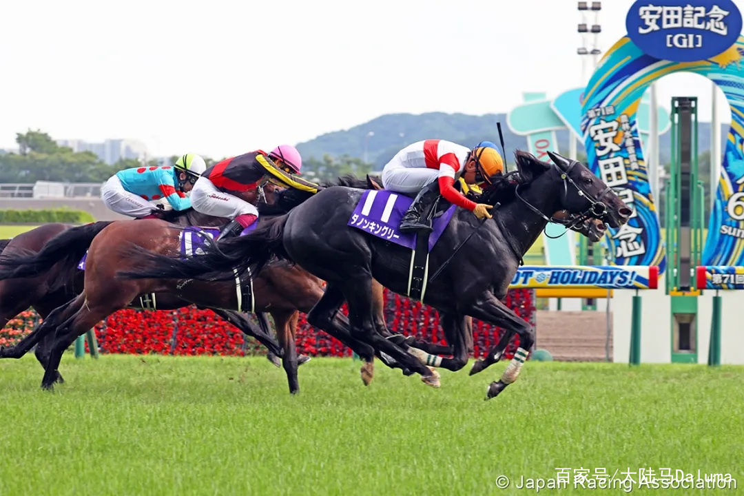 香港特马资料王中王;全面释义解释落实